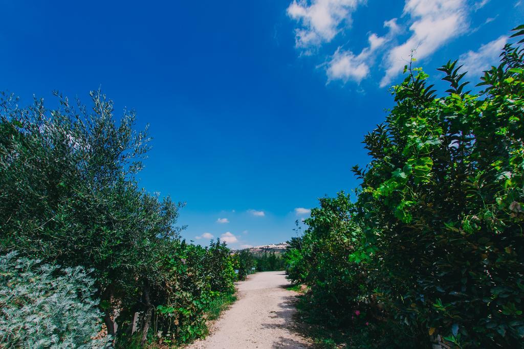 Tur Sinai Organic Farm Resort Baitulmaqdis Luaran gambar