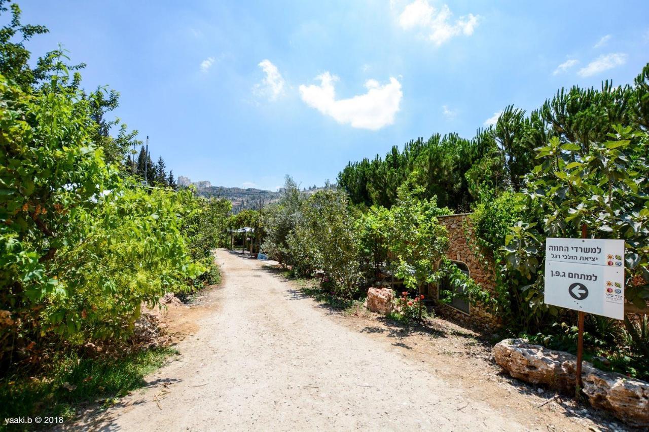 Tur Sinai Organic Farm Resort Baitulmaqdis Luaran gambar