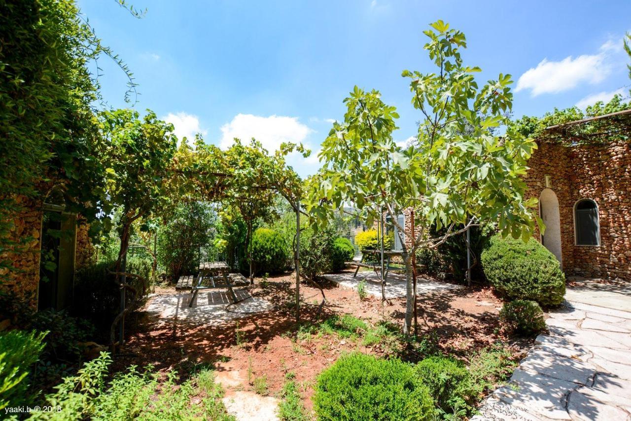 Tur Sinai Organic Farm Resort Baitulmaqdis Luaran gambar