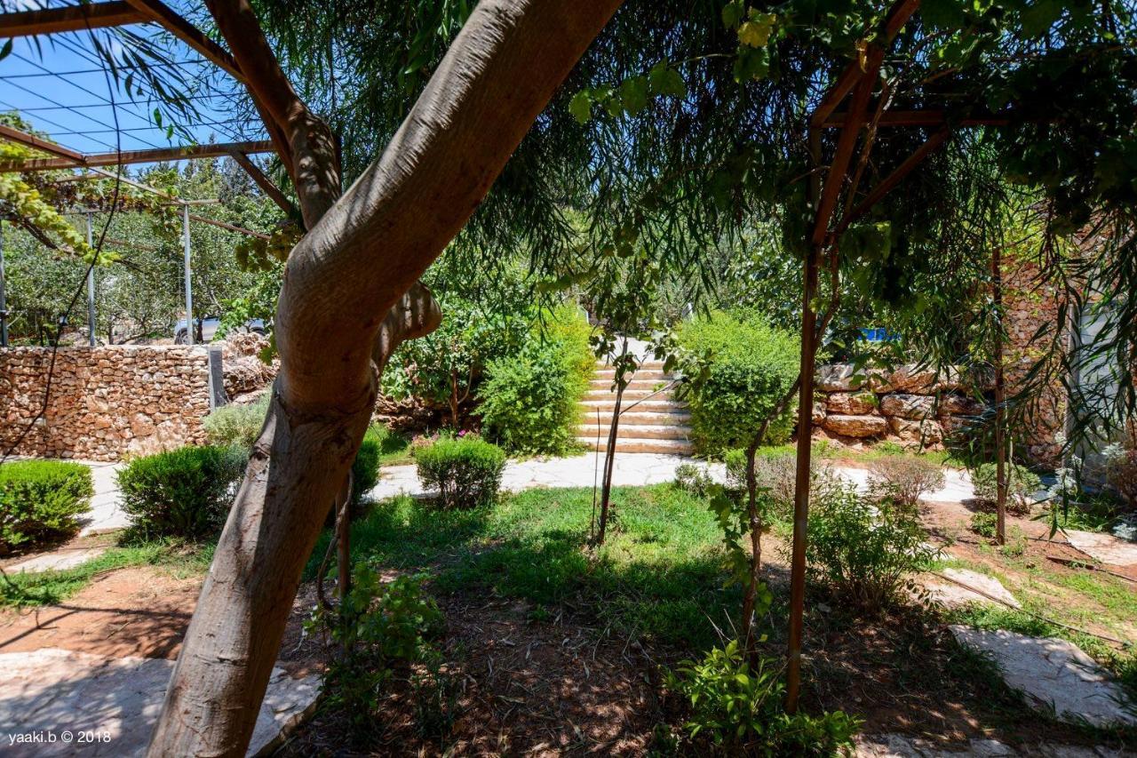 Tur Sinai Organic Farm Resort Baitulmaqdis Luaran gambar
